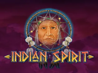 Indian Spirit icon